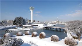 ▲團費現省2萬！北海道旅遊補助款來了（圖／可樂旅遊提供）