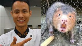 （圖／翻攝自美食作家王剛YouTube、微博）中國,美食,王剛,竹鼠,華農兄弟