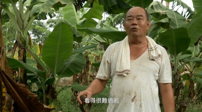 吳音寧遭解職…深夜PO片曝農民心聲