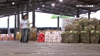 吳音寧勤走基層　農民爆：沒見過韓總