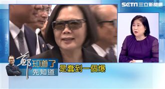 白綠合作推立委人選？陳敏鳳：蠢到爆