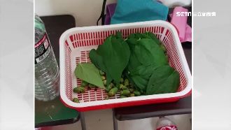 日吃1萬元！詐騙集團自請師傅現場包