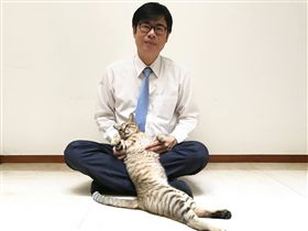 陳其邁的貓  陳小米（圖／翻攝自陳其邁 Chen Chi-Mai臉書粉絲專頁）