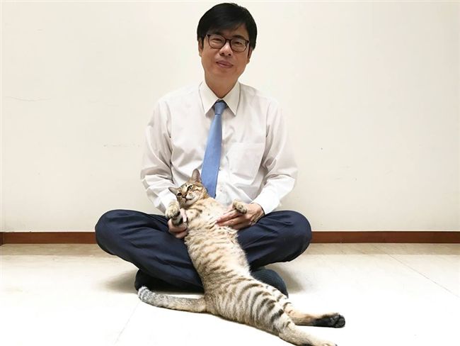 陳其邁被拱組閣　綠委均讚好人選