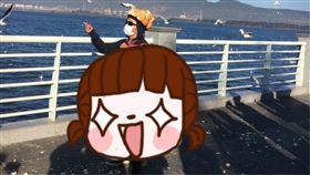 麵包哥,海鷗,餵食,麵包,大陸,雲南,昆明,微博,愛鳥,　圖／翻攝自微博　https://goo.gl/6dGKpb