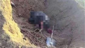 風水師3度挖人祖墳見紅布　「報應降臨」遭亂棒打死墳上（圖／翻攝自新京報）