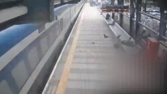 男跳軌遭火車猛撞　噴飛數十公尺慘死