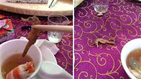 一名網友今（1）日去喝喜酒時，在雞湯中發現一隻「黑眼乾癟海馬」，由於他從沒見過這個食材，嚇得立刻po文找網友求助。其他網友看到後，掀起熱議，紛紛叫原po趕緊吃下去，因為這可是高級食材，「一斤上萬起跳」。（圖／翻攝自爆廢公社）