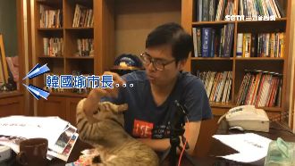 超越藍綠！陳其邁2萌貓強勢圈粉