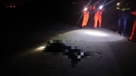 桃園,新竹,溺斃,陳屍,新豐海濱,死因,沙灘（圖／翻攝畫面）