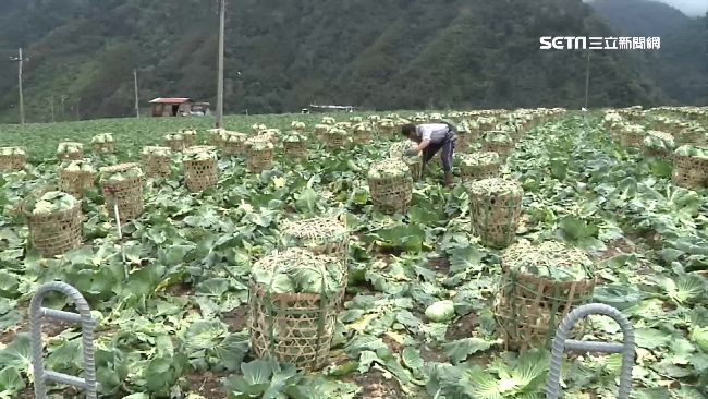 林聰賢下台難滅火　農民盼下任是這款
