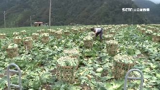 林聰賢下台難滅火　農民盼下任是這款