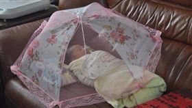 阿嬤帶小孩妙招，菜罩當防蚊帳使用。（圖／翻攝自爆廢公社）