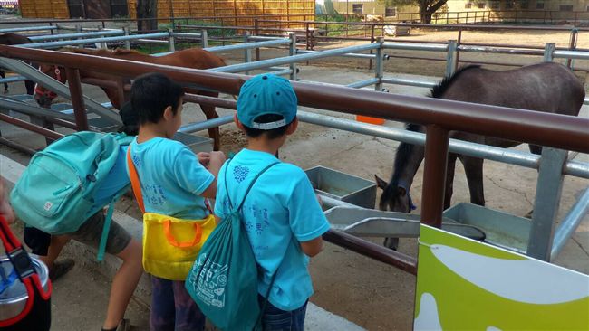 花博做公益　弱勢團體免費逛馬場園區