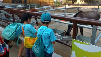 花博做公益　弱勢團體免費逛馬場園區