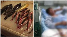 大陸,偏方,魚膽,上火,清熱解毒(圖/資料照、翻攝自微博)