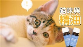 因版權問題，名家圖請勿使用，謝謝您。