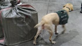 雙11網購電商配合防疫　有效防堵非洲豬瘟行政院農委會非洲豬瘟作戰計畫工作小組召集人許桂森16日表示，雙11購物節期間，台灣民眾網購中國肉品達1800件，但網購電商配合防疫未寄入境，有效防堵非洲豬瘟疫情入侵。（許桂森提供）中央社記者楊淑閔傳真　107年11月16日