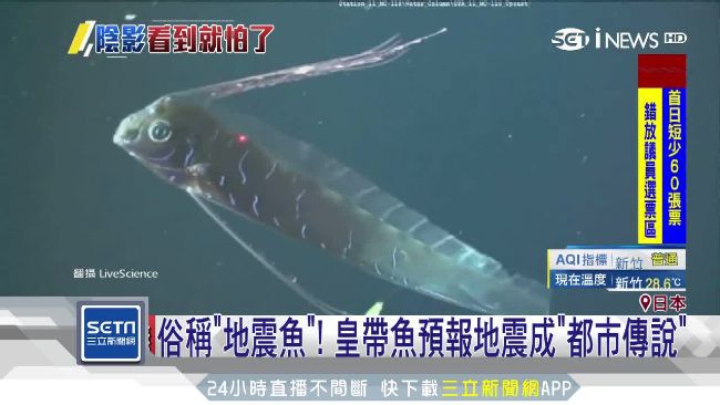 日本驚現地震魚　民憂：恐是強震前兆