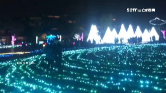 為拍美照踏入燈飾區　網轟：素質堪憂