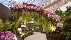 花博后里馬場園區花舞館換檔佈展（台中市政府提供）