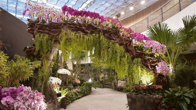台中市民元旦免費逛花博　已買票可退