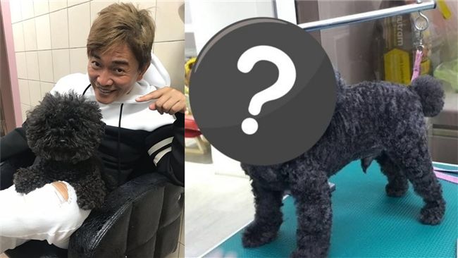 那ㄟ安捏！憲哥愛犬被剪壞…兇手是她