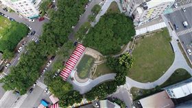 茄苳樹王。（圖／翻攝自建設大台中臉書）