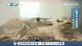 AI高科技養蝦　讓傳統產業華麗轉身
