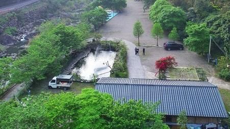 營地主撿屍環島女　發道歉文後狂洗版