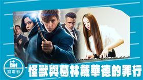 癡電影／怪獸與葛林戴華德的罪行／邱俐穎