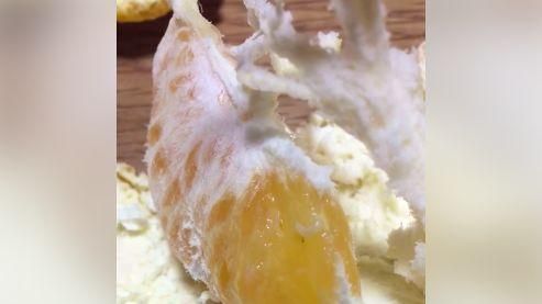 好市多產銷履歷橘子　驚見白蟲蠕動