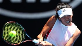 謝淑薇在2018球季交出亮麗成績單。（圖／翻攝自WTA官網）