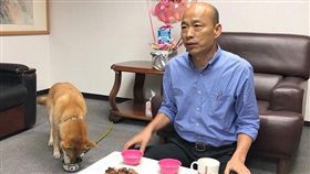 韓國瑜、狗 合成圖翻攝自韓國瑜IG