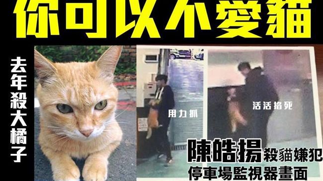 台大陳皓揚虐貓遭退學　法院發回更審