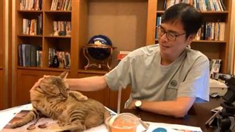 選戰落幕　陳其邁這方面直追韓國瑜！