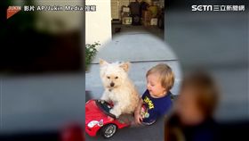 ▲汪星人與萌寶寶，準備開車出門兜風。（圖／AP/Jukin Media授權）
