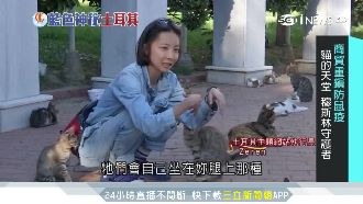 穆斯林最愛貓！她用雙腳踏遍土耳其