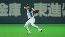 ▲火腿隊大田泰示加練三壘守備。（圖／翻攝自火腿鬥士隊官網）