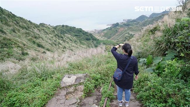 拍網美仙氣照！報時山步道整修完開放