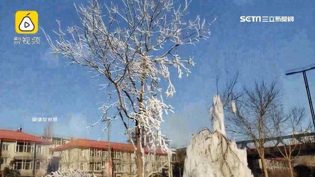 水管低溫急凍爆裂　水花意外變冰雕
