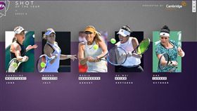 ▲WTA年度好球票選。（圖／取自WTA官網）