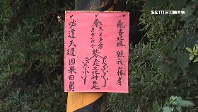 寫咒語擋髒1200g