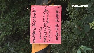 亂丟垃圾遭天譴？「神明咒語」懲罰你