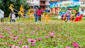 打卡,2018桃園花彩節,桃園花彩節,桃園,花彩節