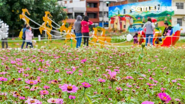 花邊效應延燒　桃園花彩節人次破百萬
