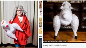 尷尬了！母誤送「情趣小綿羊」　回家充氣驚覺屁股有巨洞　圖／翻攝太陽報