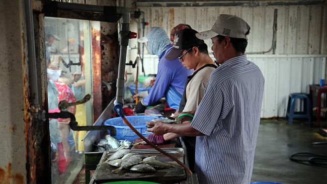 深海魚汞含量高？醫師：這4部位最毒