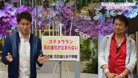 日本NHK節目介紹花博(台中市政府提供)