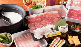 貓奴,火鍋,貓咪,しゃぶしゃぶ温野菜,温野菜,旅貓日記